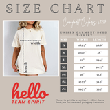 Philadelphia Vintage Style Comfort Colors TShirt